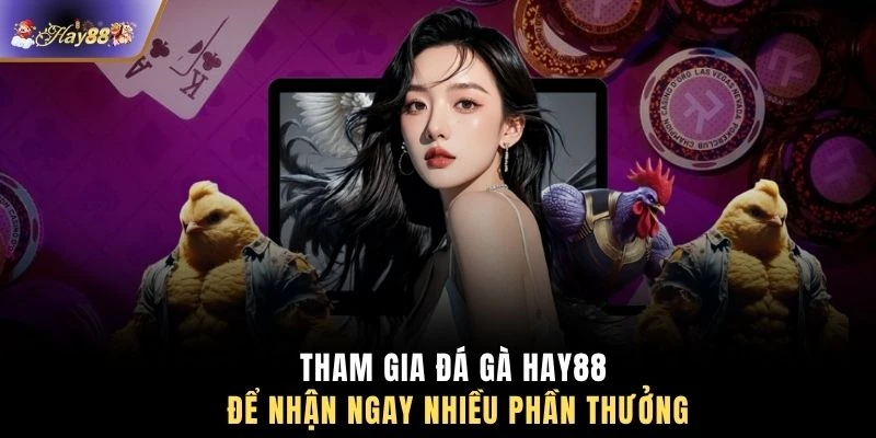 Tham gia đá gà HAY88 để nhận ngay nhiều phần thưởng