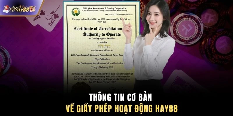 Thông tin cơ bản về giấy phép hoạt động HAY88